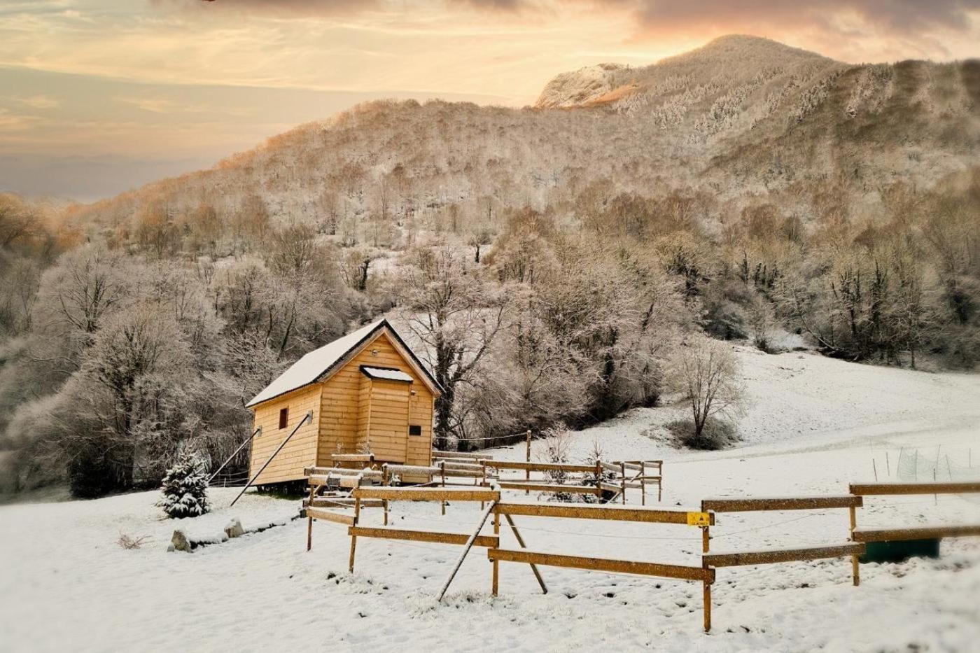 Cab'Anes Du Pibeste Segus Habitación foto